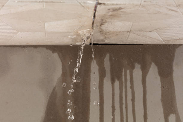 Professional Structural Drying technician working in Aurora, WV